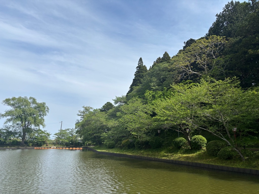 弁天島南側　桜状況　4月17日時点